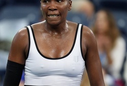 Chị em nhà Williams: Serena lên đỉnh, Venus xuống hố