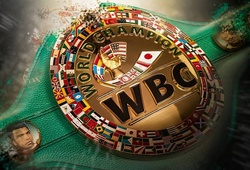 Ngán cảnh ăn ké của WBC, chủ tịch WBO nắn gân nạn đẻ đai không kế hoạch của đối thủ