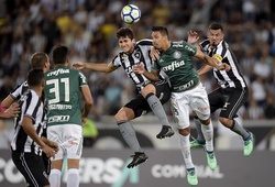 Nhận định Palmeiras vs Botafogo 07h00, 13/10 (vòng 25 VĐQG Brazil)