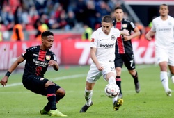 Nhận định Eintracht Frankfurt vs Bayer Leverkusen 01h30 ngày 19/10 (Bundesliga 2019/20)