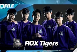 Người hâm mộ LMHT hào hứng trước viễn cảnh ROX 2016 comeback