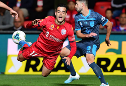 Nhận định Sydney FC vs Adelaide United 15h30, ngày 04/01 (VĐQG Úc)