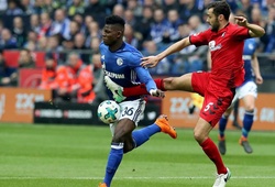 Nhận định Schalke vs Sint-Truidense 23h00, ngày 07/01 (Giao hữu)