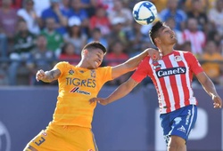 Soi kèo Tigres UANL vs Atletico San Luis 10h05, 12/01 (VĐQG Mexico 2019/20) 