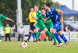 Trực tiếp Bulleen Lions vs Springvale White Eagles: Khó có bất ngờ