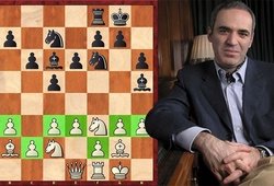 Hưởng ứng FIDE chống COVID-19: Các huyền thoại cờ như Kasparov tham dự Nations Cup