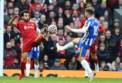 Chuyên gia dự đoán Liverpool vs Brighton: Chuỗi chiến thắng bị ngăn chặn