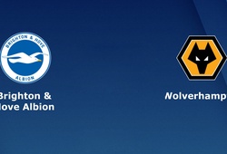 Nhận định tỷ lệ cược kèo bóng đá tài xỉu trận: Brighton vs Wolves