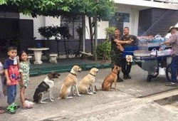 Hành trình xếp hàng mua vé xem ĐT Việt Nam qua “tiếng than” của cư dân mạng