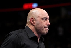 Dana White: UFC phát triển nhanh như ngày nay là nhờ Joe Rogan!