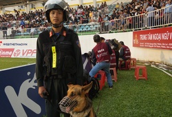 Cận cảnh 4 chú chó nghiệp vụ đảm bảo an toàn cho trận đấu của Hoàng Anh Gia Lai