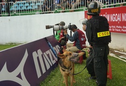 HAGL tăng cường chó nghiệp vụ để đảm bảo an ninh những trận đấu trên sân Pleiku 
