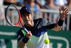 Andy Murray bỏ ngỏ khả năng tham dự Wimbledon
