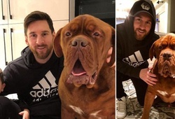 Lionel Messi cởi trần, phô diễn kỹ thuật chơi bóng đỉnh cao trước thú cưng