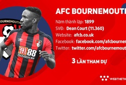 Thông tin đội hình CLB Bournemouth ở giải Ngoại hạng Anh mùa 2018/19