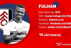 Thông tin đội hình CLB Fulham ở giải Ngoại hạng Anh mùa 2018/19