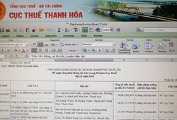 Cty CP bóng đá FLC Thanh Hoá đứng đầu danh sách nợ đọng thuế ở Thanh Hoá
