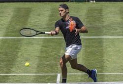 Thất bại ngày tái xuất, Federer vẫn háo hức "đi săn" mùa sân cỏ 