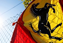 Ferrari khước từ phũ phàng đề nghị của Red Bull