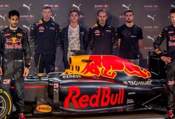 Red Bull trình làng “bộ cánh” mới cho mùa F1 2016