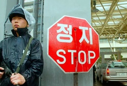 Bán độ không thành, võ sĩ Hàn Quốc bị xã hội đen truy lùng