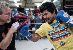 Conor McGregor muốn  “mượn” HLV của Pacquiao để tập boxing