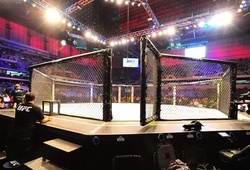 Đại tiệc cho fan UFC đến hết năm 2016: 19 sự kiện 20 tuần!