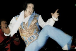 Elvis Presley: Ông hoàng Rock 'n Roll và chiếc đai đen 8 đẳng