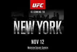 UFC 205 New York đắt "sô" với hàng loạt đề nghị thách đấu