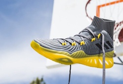 Giày bóng rổ Adidas: Sự trở lại mạnh mẽ của kẻ thua cuộc