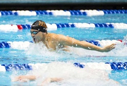 5 chuyên gia phục vụ Schooling "săn" kỷ lục bơi thế giới