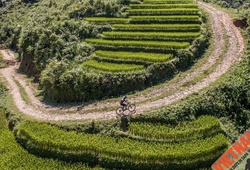 Làm gì để chinh phục cuộc thi xe đạp leo núi lớn nhất Việt Nam?