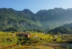 Việt Nam thêm giải chạy trail "hành xác" xuyên rừng già Pù Luông