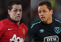 Man Utd coi chừng bàn thua nảy mầm từ "hạt đậu nhỏ" Javier Hernandez!