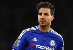 Chelsea rao bán Fabregas cho Juventus