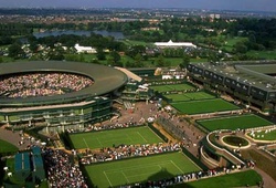Sốc với hé lộ những trận đấu ở Wimbledon vừa qua bị dàn xếp tỷ số