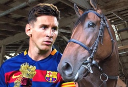 Lionel Messi tranh giải với… một chú ngựa
