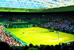 Wimbledon 2014: “Doping” tiền thưởng