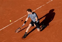 Andy Murray 3-1 David Ferrer: Chiến thắng không dễ