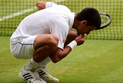 Djokovic ‘gặm cỏ’ sau khi vô địch Wimbledon