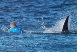 VĐV lướt ván thoát ‘hàm cá mập’ trong gang tấc