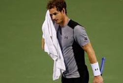 Andy Murray ngã đau tại Citi Open