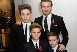 Beckham thất vọng vì con trai không dám nối nghiệp