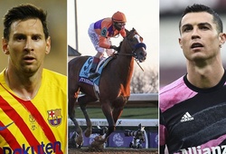 Con ngựa kiếm được nhiều gấp 20 lần Messi và Ronaldo năm 2020