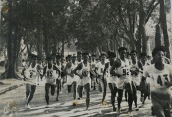 Tiền Phong Marathon: Lịch sử phát triển từ giải việt dã lâu đời nhất đến giải chạy lập kỷ lục số VĐV