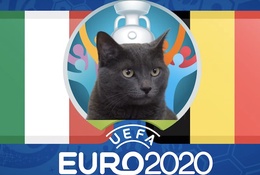 Mèo tiên tri dự đoán bóng đá EURO hôm nay 02/07: Bỉ vs Italia
