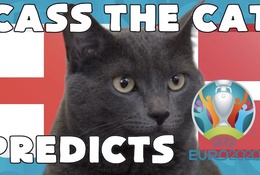 Mèo tiên tri dự đoán bóng đá EURO hôm nay 07/07: Anh vs Đan Mạch