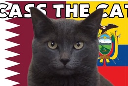 Mèo tiên tri dự đoán Qatar vs Ecuador, 23h ngày 20/11