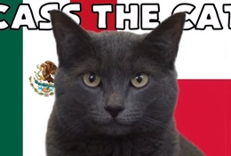 Mèo tiên tri dự đoán Ba Lan vs Mexico, 23h ngày 22/11