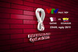 Lịch trực tiếp World Cup 2022 hôm nay ngày 20/11 trên VTV